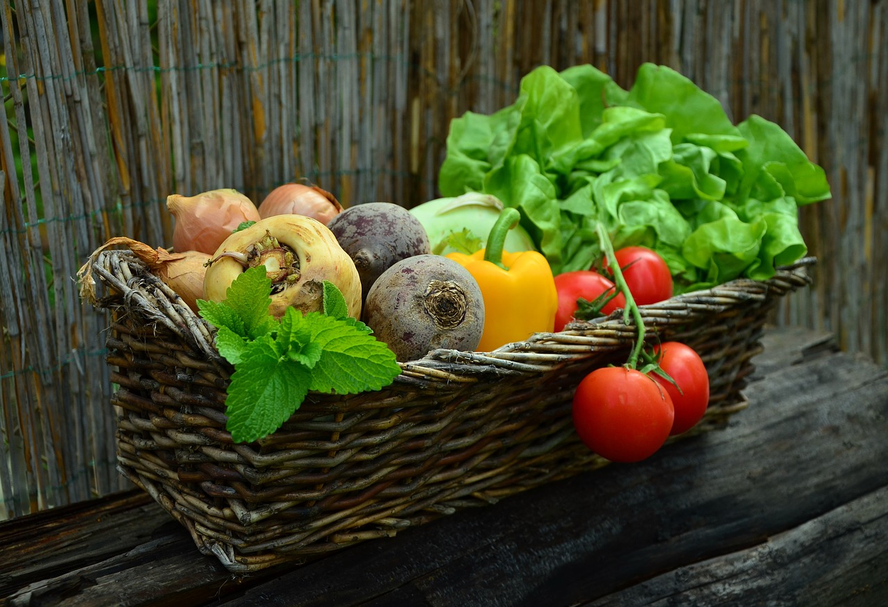 Gardening for stress management