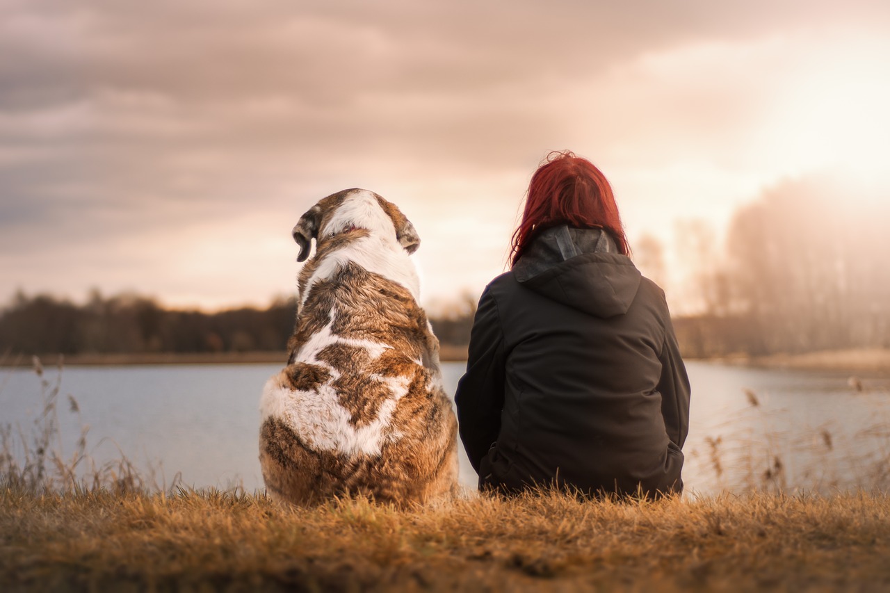 Emotional Support Animal- Dog