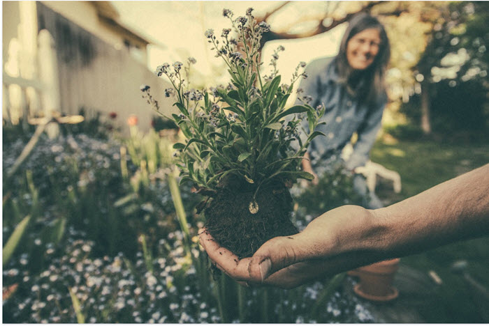 Coronavirus gardening